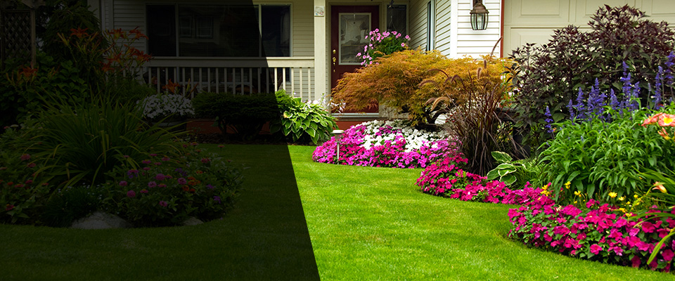 Camdenton Landscapers